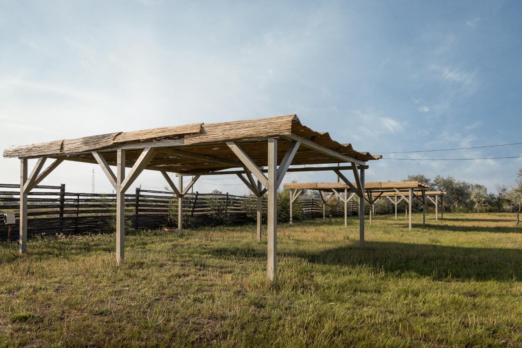 Dolphin Camping Sfantu Gheorghe  Exterior photo